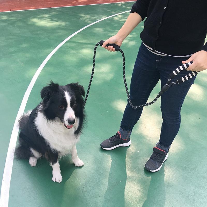 LaisseEduc™ - Corde en Nylon pour chien | Chien - Le domaine canin