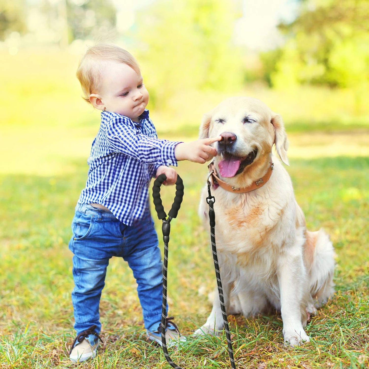 LaisseEduc™ - Corde en Nylon pour chien | Chien - Le domaine canin