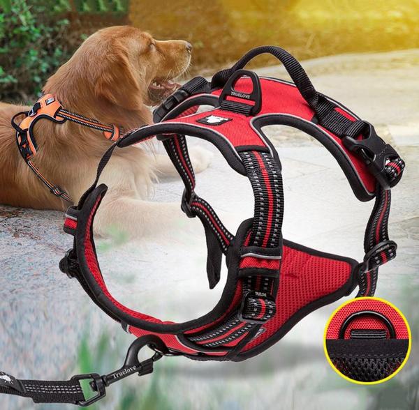 SafetyHarness™- Harnais pour animal de compagnie - Le domaine canin