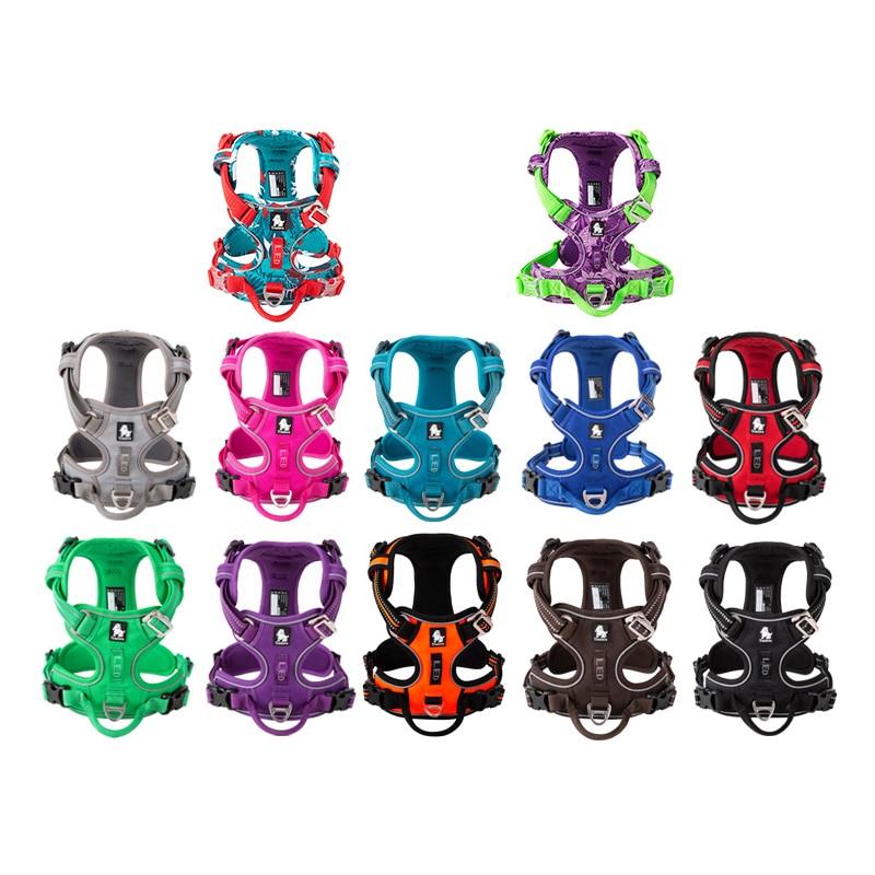 SafetyHarness™- Harnais pour animal de compagnie - Le domaine canin